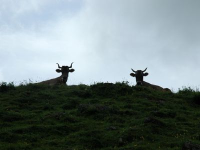 Grüss Gott lieber Wanderer