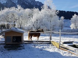 18710363-Ferienwohnung-4--300x225-2