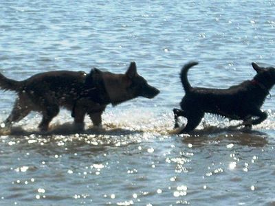 Kennenlernen im Meer