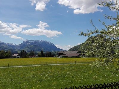 Ferienwohnung Waldesruh Ausblick