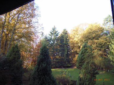 Blick in den Garten