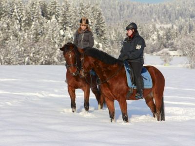 urlaub_am_bauernhof_pension_borchardt72_wernberg