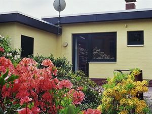 Die Terrasse im Frühling