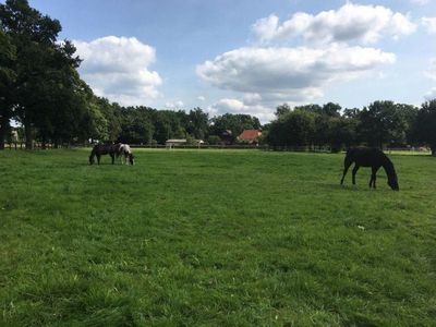 Aussicht zur Wiese