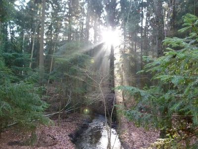 Ein Spaziergang in der Umgebung