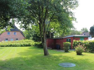 Blick in den sonnigen Garten