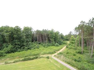 Blick vom Appartement auf den Kurwald