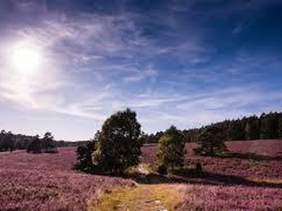 Radwandern in der Lüneburger Heide