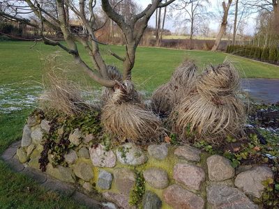 Garten im Winter