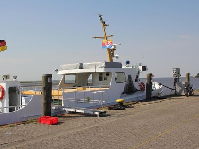 Eiderfahrten direkt hinter unserem Haus