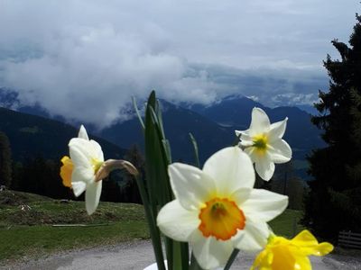 Blick von der Terasse