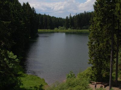 Teich am Liebesbankweg