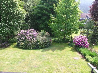 Garten im Sommer