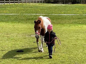 Ferienwohnung für 6 Personen (90 m²) in Stangheck