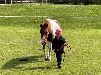 Reiterhof Lausen in Stangheck Ponykoppel