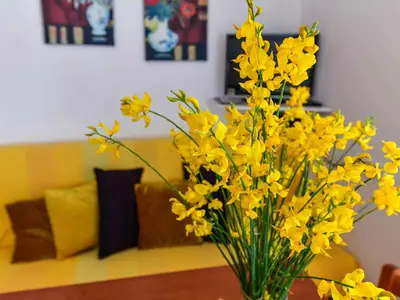 Ferienwohnung für 2 Personen (26 m²) in Stara Baska 9/10