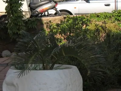 Ferienwohnung für 6 Personen in Stari Grad 9/10