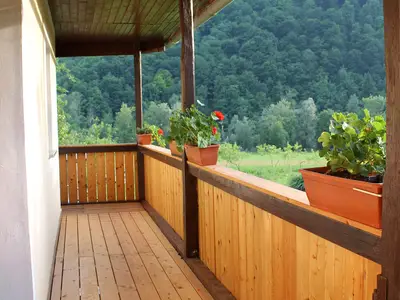 Ferienwohnung für 6 Personen (60 m²) in Stari trg ob Kolpi 4/10