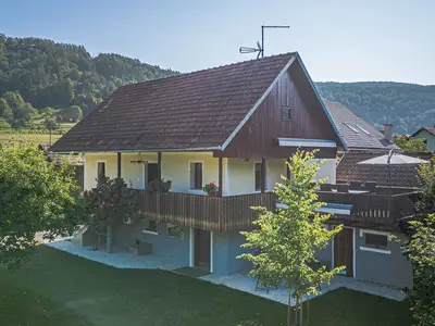 Ferienwohnung für 4 Personen (36 m²) in Stari trg ob Kolpi 5/10
