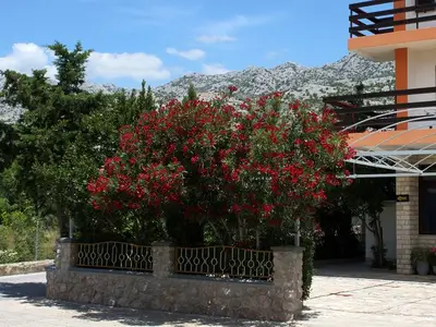 Ferienwohnung für 2 Personen in Starigrad-Paklenica 4/10