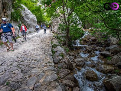 Ferienwohnung für 3 Personen (35 m²) in Starigrad-Paklenica 7/10