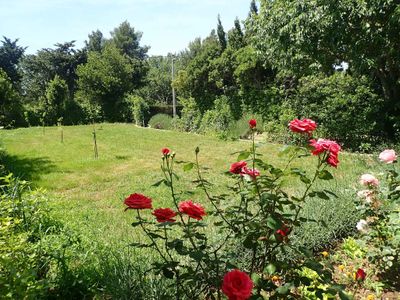 Ferienwohnung für 5 Personen (55 m²) in Starigrad-Paklenica 7/10