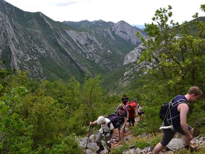 Ferienwohnung für 3 Personen (40 m²) in Starigrad-Paklenica 10/10