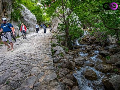 Ferienwohnung für 4 Personen (50 m²) in Starigrad-Paklenica 9/10