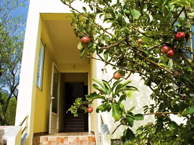 Ferienwohnung für 3 Personen (57 m²) in Seline 2/10