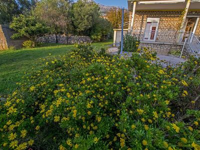 Ferienwohnung für 3 Personen (35 m²) in Starigrad-Paklenica 8/10