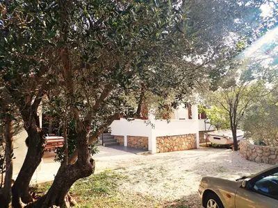 Ferienwohnung für 5 Personen (65 m²) in Starigrad-Paklenica 9/10
