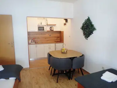 Ferienwohnung für 4 Personen (35 m²) in Starigrad-Paklenica 3/10