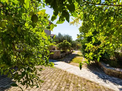 Ferienwohnung für 2 Personen (25 m²) in Starigrad-Paklenica 6/10