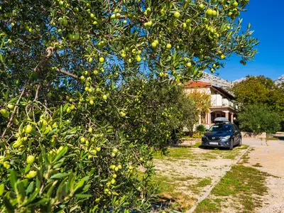 Ferienwohnung für 2 Personen (25 m²) in Starigrad-Paklenica 7/10