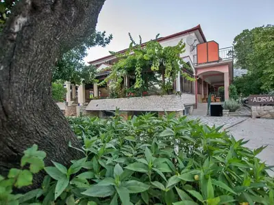 Ferienwohnung für 4 Personen (45 m²) in Starigrad-Paklenica 8/10