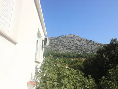 ViewSummer