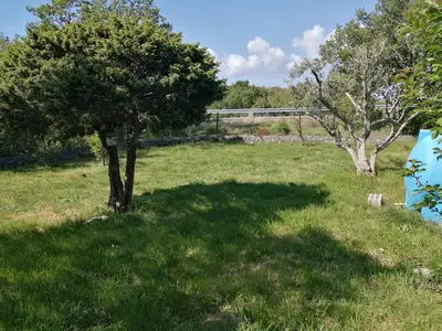 GardenSummer