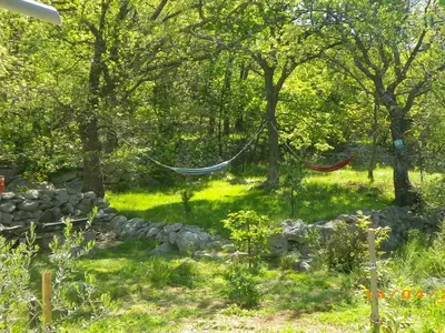 GardenSummer