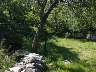 GardenSummer
