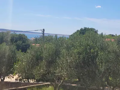 Ferienwohnung für 7 Personen (80 m²) in Starigrad-Paklenica 7/10