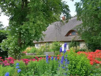 Ferienwohnung für 4 Personen (42 m²) in Starkow 8/10