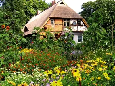 Ferienwohnung für 4 Personen (42 m²) in Starkow 10/10