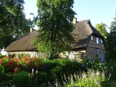 Ferienwohnung für 6 Personen (45 m²) in Starkow 10/10