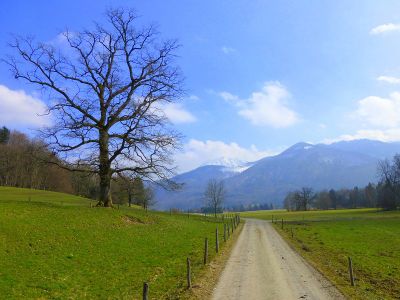 Radweg zum Chiemsee