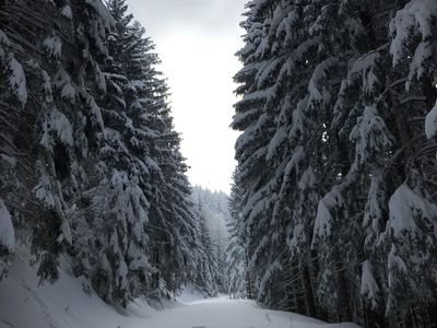 Winter in den Bergen