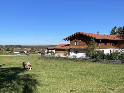 Ferienwohnung Zum Lenei