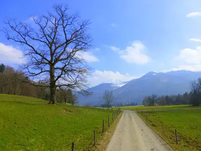 Radweg zum Chiemsee