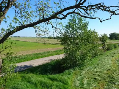 Ferienwohnung für 5 Personen (80 m²) in Stedesdorf 8/10