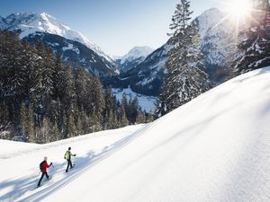 Ferienwohnung für 4 Personen (40 m²) in Steeg (Tirol)