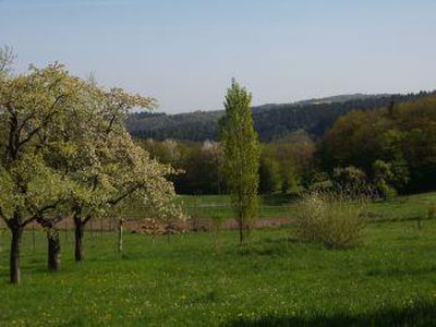 Blick in´s Baybachtal